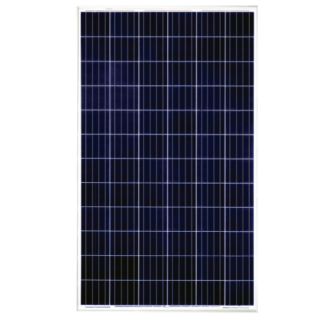 Dayliff 280W Polycrystalline Solar Module