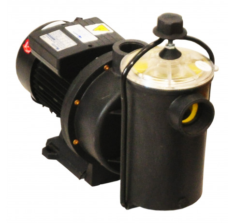 DAYLIFF DPX1100 1.1KW 1PH POOL PUMP